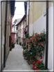 foto Marano Lagunare